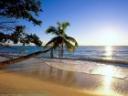 Urlaub Strand Palmen Meer