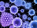 krank-virus-bakterien-viren