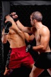 Mixed martial artists fighting - punching