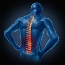human back pain spinal cord skeleton body